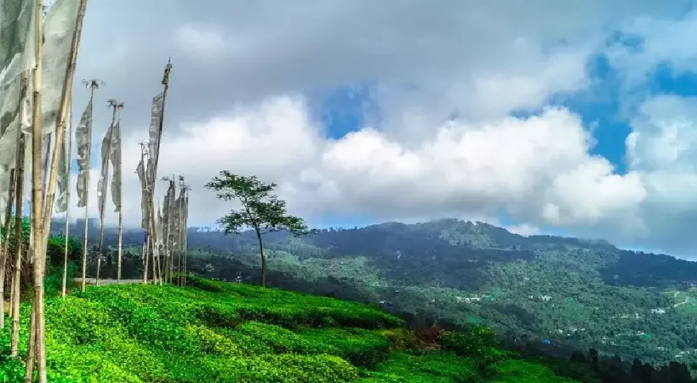 Dooars | Gorumara | Jaldapara