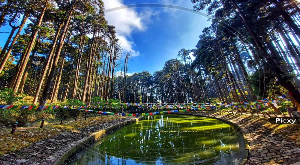 Darjeeling with Lamahatta